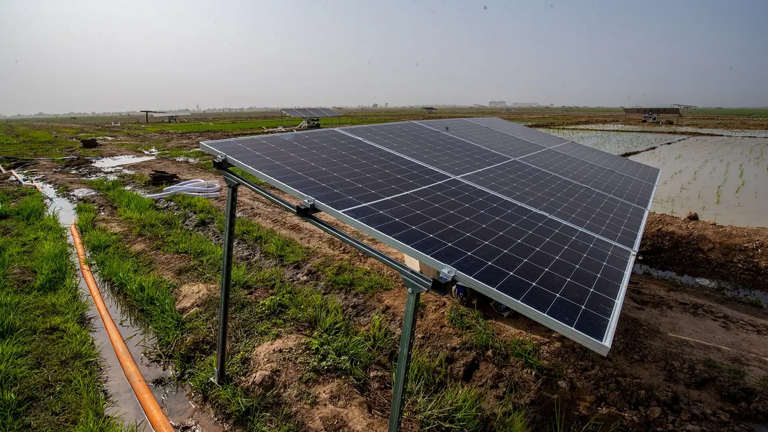 Solar-powered pumping array beside irrigated paddy fields, with the water line running past the mounting frame.